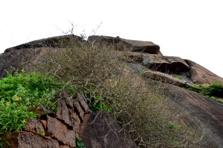 Nijagal hills Karnataka