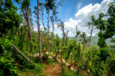 20180322-FS-Yunque-PJK-002