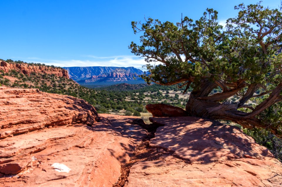 20160224-FS-Coconino-DLS-001