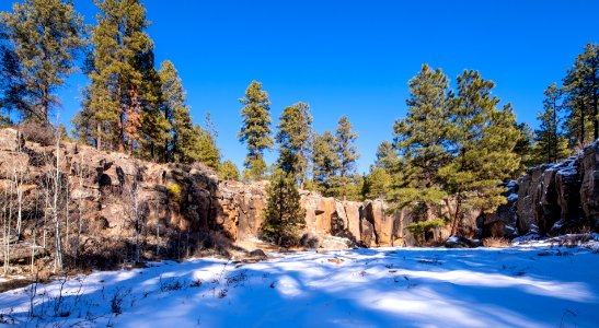 20181203-fs-kaibab-lsc-0633 46234688315 o