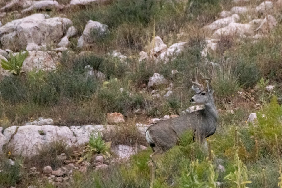20190926-fs-lsc-1102 49751851551 o
