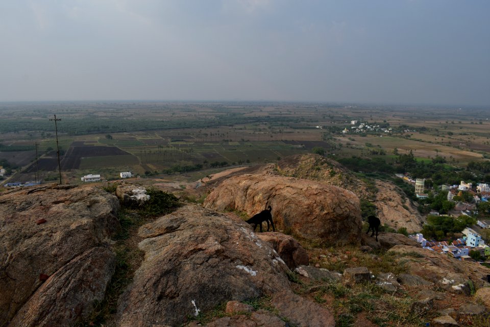 Kalugumalai Vettuvan Koil