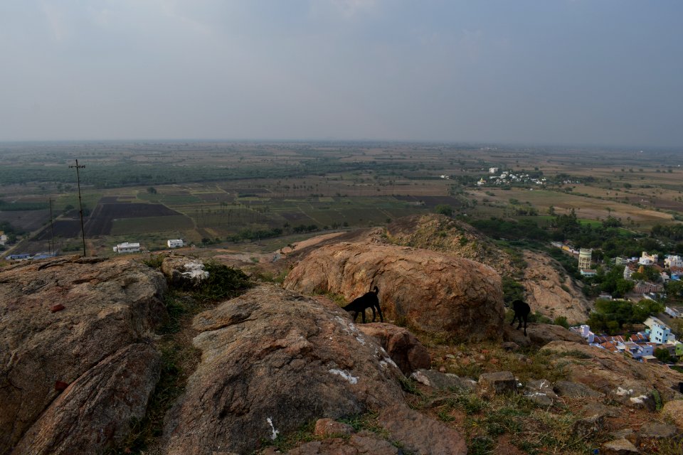 Kalugumalai Vettuvan Koil photo