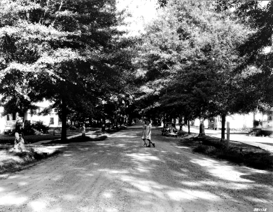 193906XX-FS- Mississippi-WHM-381115
