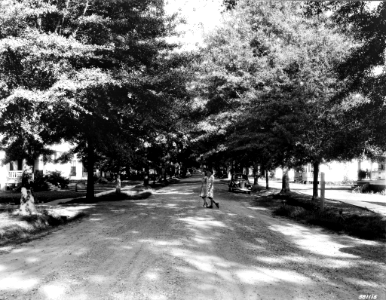 193906XX-FS- Mississippi-WHM-381115