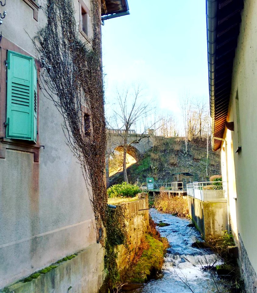 Río La Mossig en #Romanswiller región de #Alsace , #France  #Architecture #nature #documentary #documentaryphotography #discover #visualsoflife #river