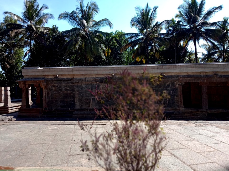 Jain Temple Sulthan Bathery Kerala