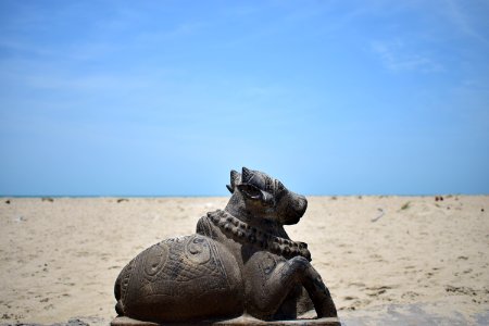 Dhanushkodi photo