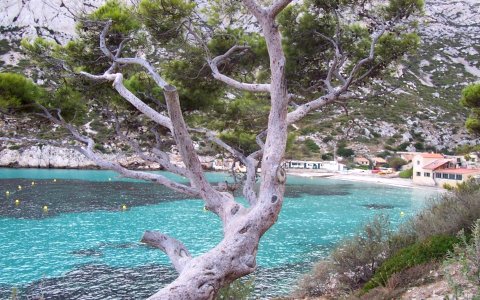 Sormiou