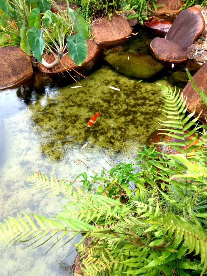 Jardim Botânico Plantarum