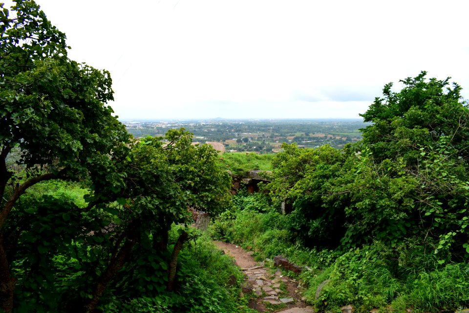 Nijagal hills Karnataka