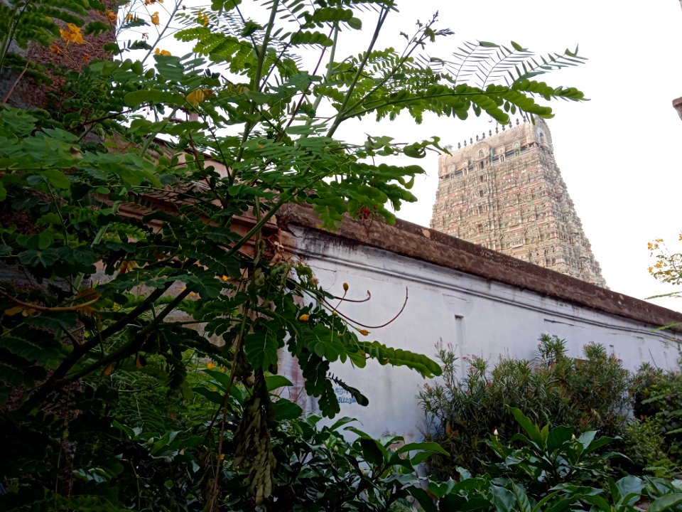Tenkasi Kashi Vishwanathar temple