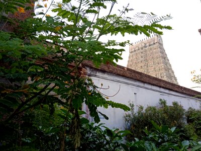 Tenkasi Kashi Vishwanathar temple