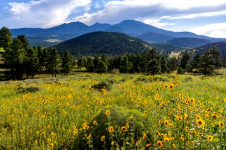 20170823-FS-Coconino-DLS-005