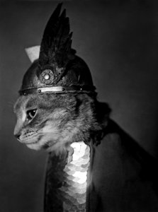 Brünnhilde