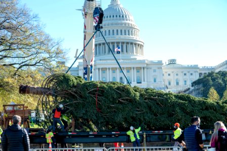 20201120-FS-WashingtonDC-TEF-033