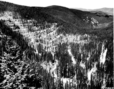 195909XX-FS-Coeur d’Alene-PS-503862