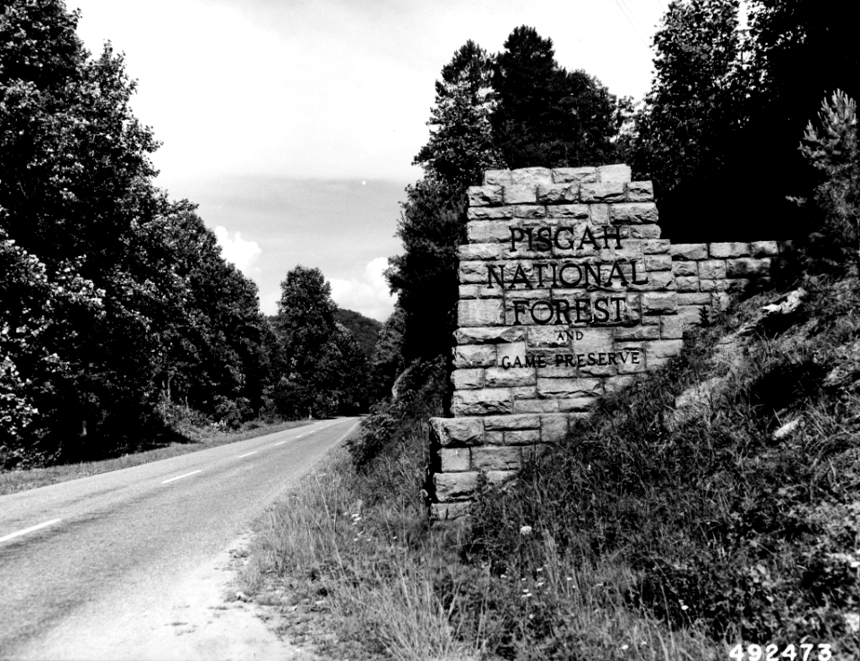 195908XX-FS-Pisgah-LJP-492473