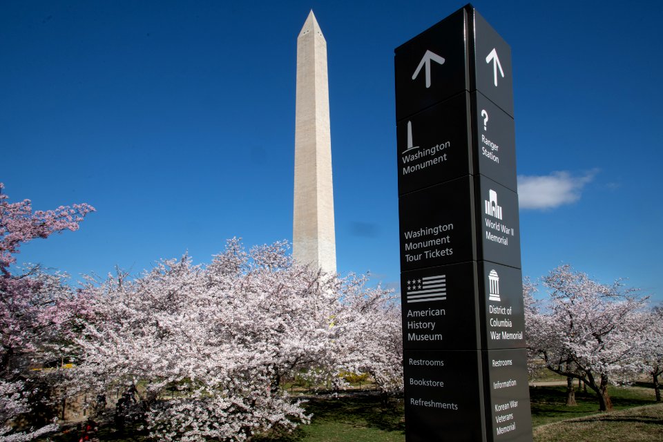 20190401-FS-CherryBlossoms-LSC-038