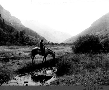 1914XXXX-FS-Cache-WSC-21583