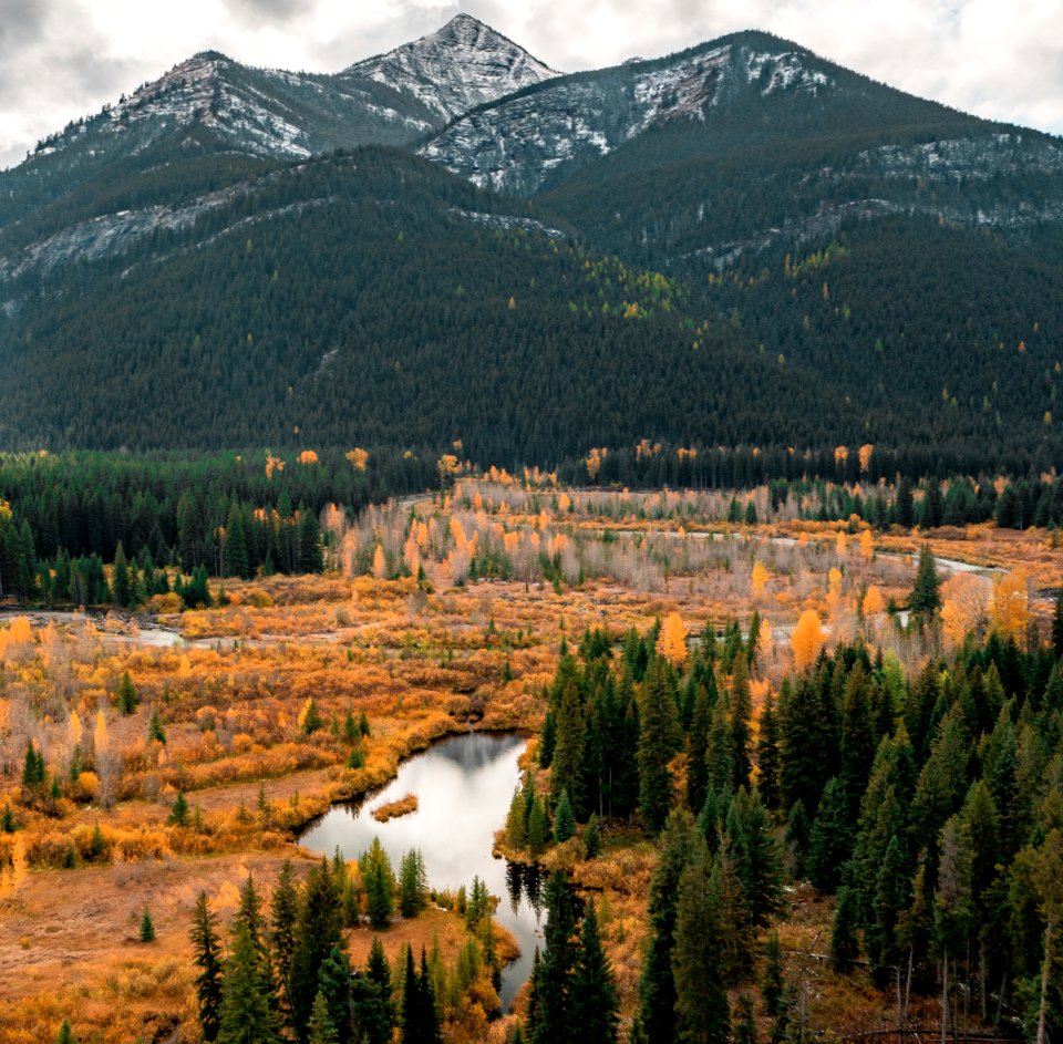 20190329-FS-FlatheadNF-YFYF-034
