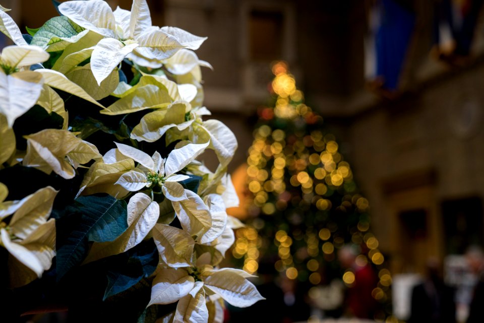 20181204-FS-SecPerdueCapXmas-TEF-036