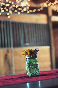 Daisies yellow decoration photo