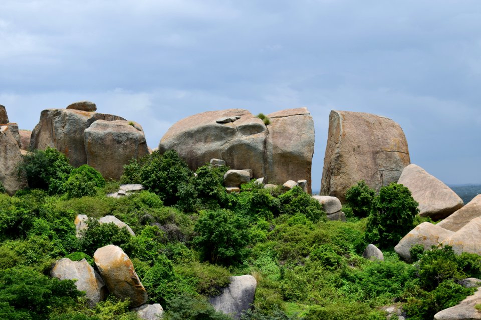 Nijagal hills Karnataka