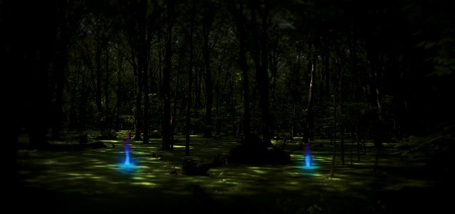 swamp gas