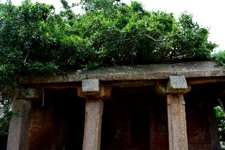 Nijagal hills Karnataka photo