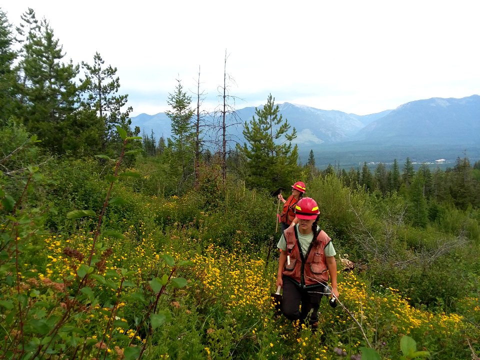 WorkingSwanLake-Flathead-July2020-001