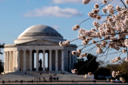 20190401-FS-CherryBlossoms-LSC-013