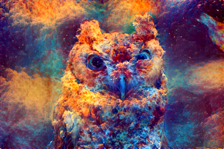 owl2-autum paint by tatasz-d9gvmo8-2048-1.0-500.0