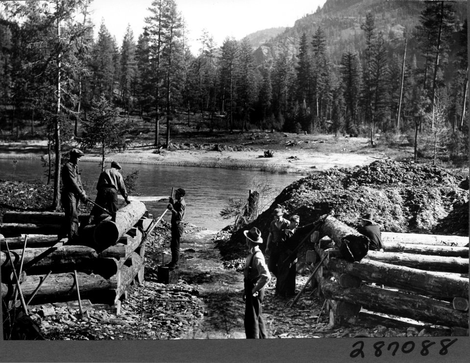 193403XX-FS-LOLO-KDS-287088
