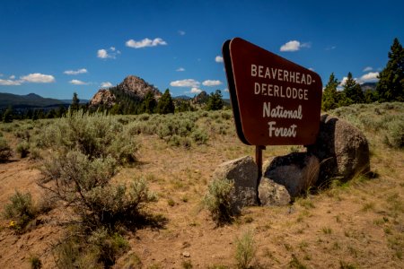 20180712-FS-Beaverhead-PJK-1415
