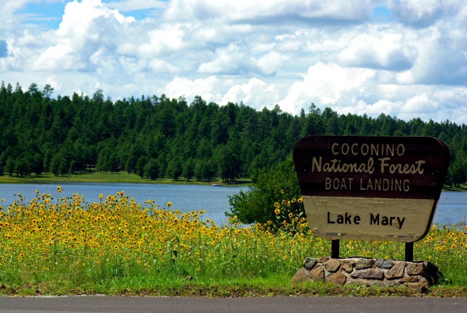 20100822-FS-Coconino-GG-001