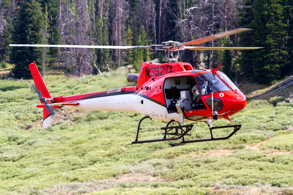 20160731-FS-Shoshone-KH-017.JPG