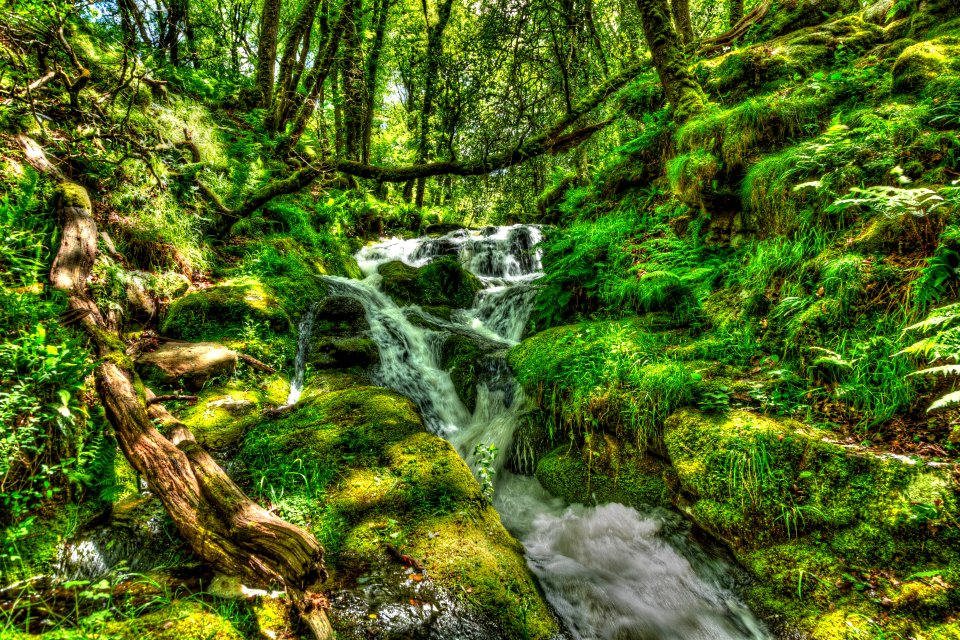 QU6A3363 tonemapped