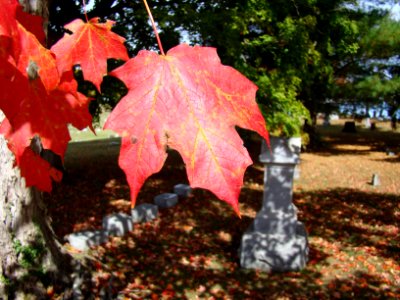 Oak Grove Cemetery