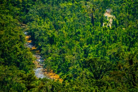 20180322-FS-Yunque-PJK-015