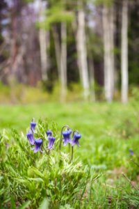 20160612-FS-Bridger-MK-001