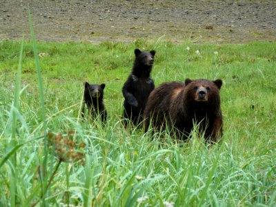 20110726-FS-Tongass-DM-017