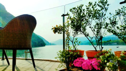 天一國7년 天曆 4월 6일 - May 10, 2019 Opening day