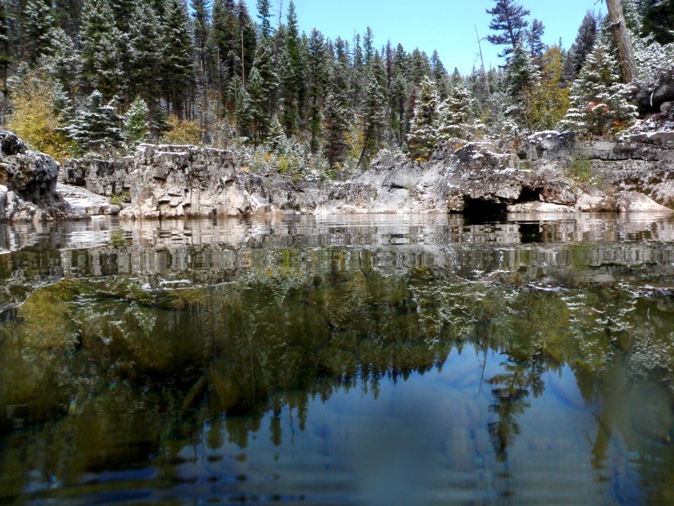 SpottedBearRiver-Flathead-Jun2020-001
