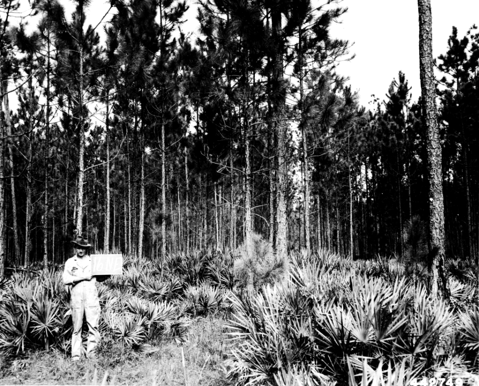 194611XX-FS-Osceola-OT-442749