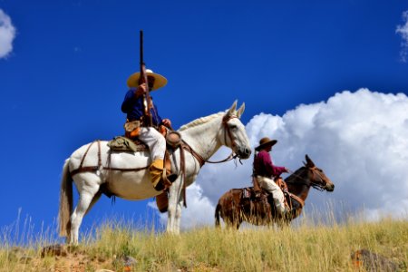 Fishlake National Forest, Utah, horses, recreation, vaqueros, Red Hole