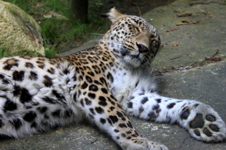 go away...wanna sleep