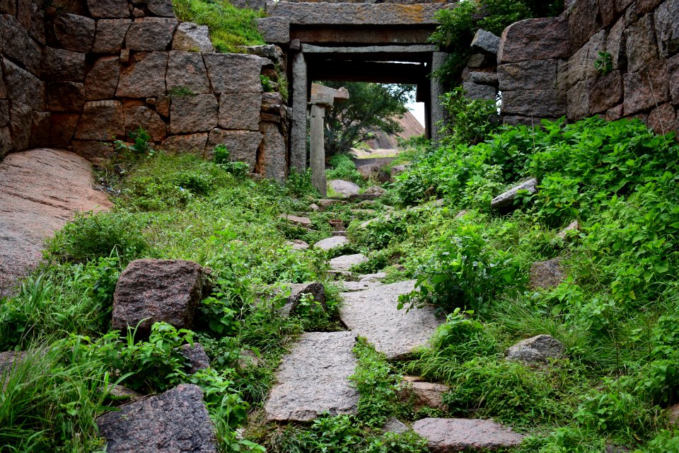 Nijagal hills Karnataka