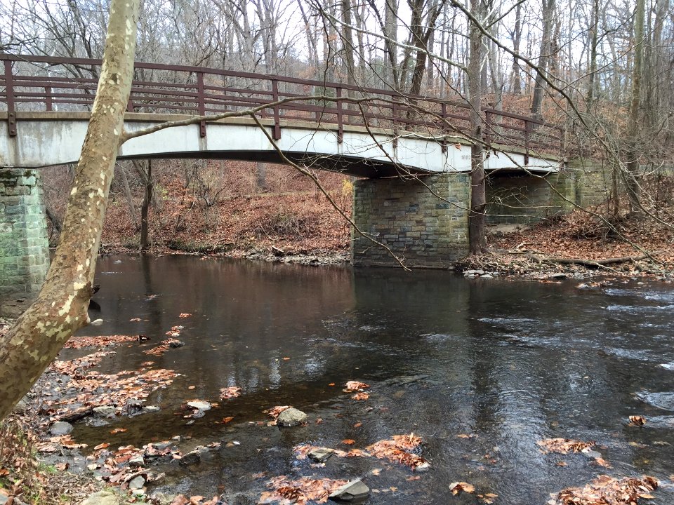 Footbridge near Peirce Mill