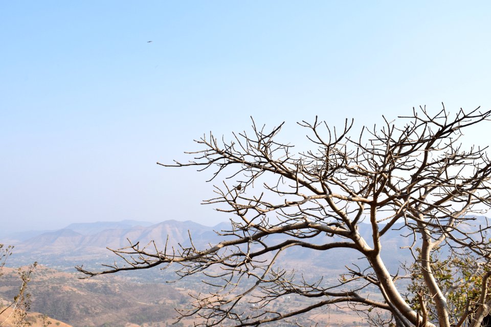 Sinhagad fort Pune Maharashtra